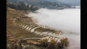 Workers on the Rice Terrace